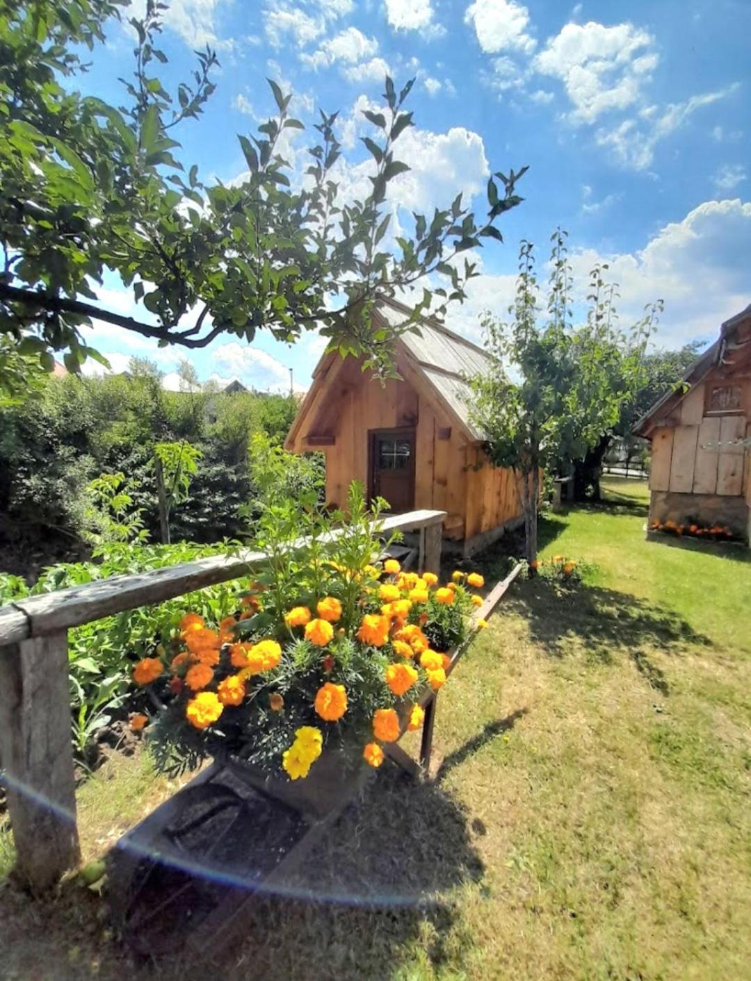 Etno Smjestaj Bjelasica Kolasin Exterior photo