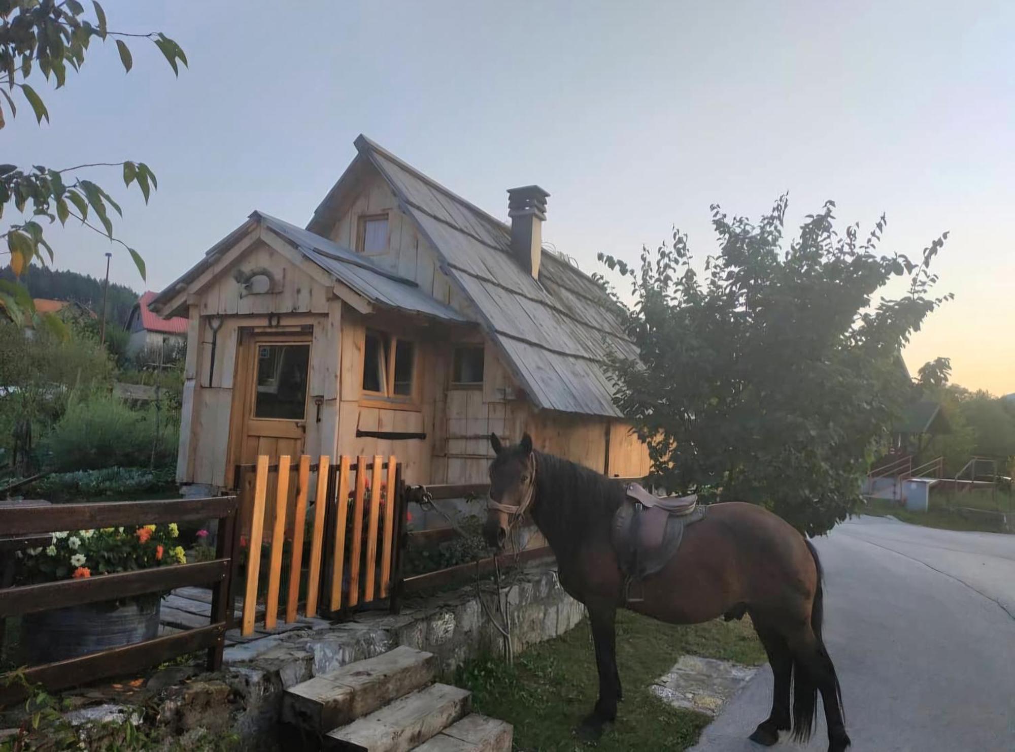 Etno Smjestaj Bjelasica Kolasin Exterior photo